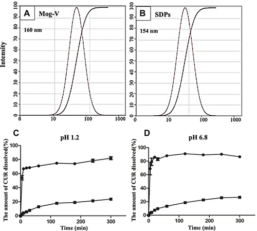 Figure 3 Particle size distribution of (A) Mog-V and (B) CUR/Mog-V SDPs in water (including the cumulative distribution curves of particle size). Dissolution profile of CUR in (C) pH 1.2, (D) pH 6.8 buffer solutions each containing 0.2% Tween 80 at 37°C. ■, CUR, ●, CUR/Mog-V SDPs.