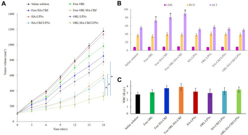 Figure 7 In vivo anti-tumor efficacy and toxicity of LPNs evaluated by the curve of tumor volume (A), the serum markers (B), and WBC (C) after treatment. Data presented as Means ± SD. *P< 0.05.