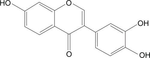 Figure 1 The chemical structure of 734THIF.Abbreviation: 734THIF, 7,3′,4′-trihydroxyisoflavone.