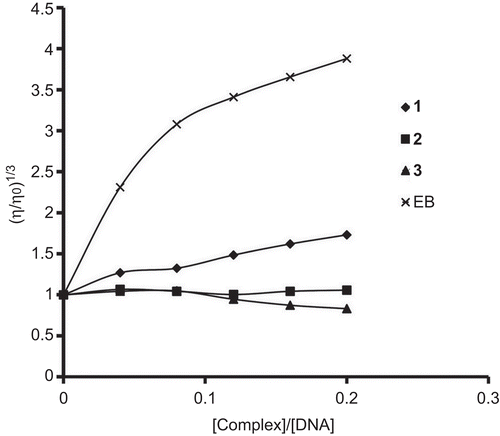 Figure 2.  Effect on relative viscosity of DNA under the influence of increasing amount of ethidium bromide and complexes at 27 ± 0.1°C in phosphate buffer (Na2HPO4/NaH2PO4, pH 7.2).
