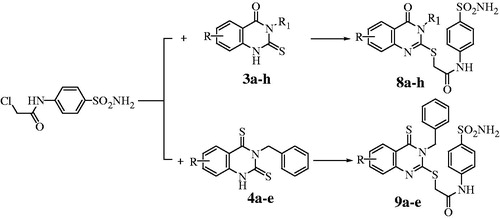 Scheme 1. Synthesis of the 2,3,5,6 and/or 8-substituted-4-oxoquinazoline derivatives 8a–h and their bioisosters 4-thioxoquinazoline derivatives 9a–e.