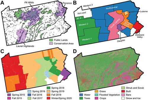 Figure 1. Maps of important features of Pennsylvania, USA. (A) Public forests (green) and areas of interest for conservation (purple), (B) LiDAR delivery areas described in Table 1, (C) airborne LiDAR survey dates, and (D) Google Eath Engine Dynamic World land cover (Brown et al. Citation2022).
