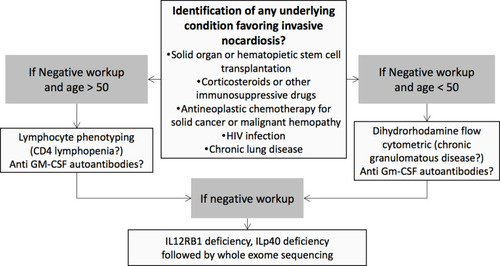 Figure 1 Workflow for identification of underlying disease favoring invasive nocardiosis.Citation17