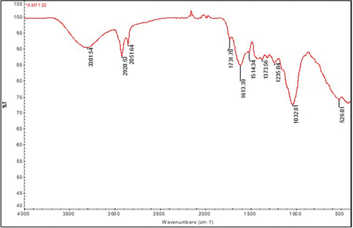 Figure 3. Fourier transform infrared spectrum analysis of Annona muricata.