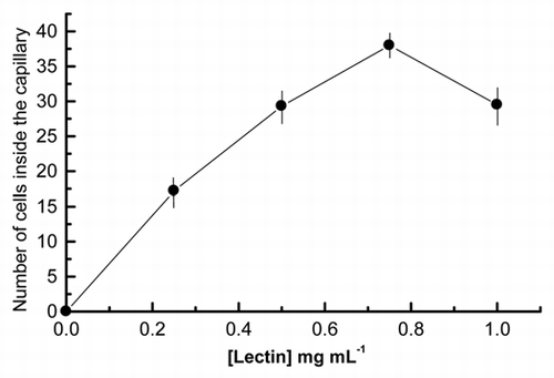 Figure 2 Dose-response curve of Nostoc motility after 8 h of chemotactic stimulation effected by variable concentrations of the lichen lectin, done as single cells inside the capillary. Values are the mean of three replicates. Vertical bars give the standard error where larger than the symbols.