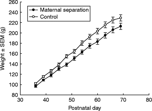 Figure 1.  Mean weights ( ± SEM) (g) for animals in the ‘maternal separation’ (n = 30) and ‘control’ (n = 28) groups used for the assessment of corticosterone and NK cytotoxicity prior to chronic restraint stress and tumor cell treatment. Regression analysis of ‘neonatal treatment’ and ‘day of life’ on weight was significant (F[2,689] = 997.2, P < 0.001) whereby both factors made a significant contribution to weight (P < 0.05 in each case).