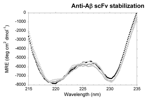 Figure 5. Far-UV CD spectra of the scFV-3D6h variants in native conditions. WT, black; C1, dark gray; C2, mild gray; C3, light gray.