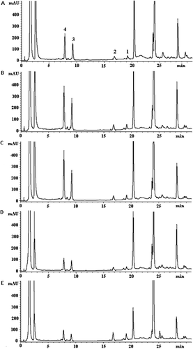 Figure 2.  HPLC chromatograms of C. asiatica extracts obtained from different places for cultivation: (A) Trang; (B) Songkhla; (C) Phattalung; (D) Nakornsrithammarat; (E) Ratchaburi; (1) Asiatic acid; (2) Madecassic acid; (3) Asiaticoside; (4) Madecassoside.
