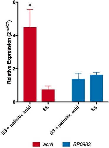Figure 5. Palmitate induces the expression of acrA. Expression of acrA (red) and BP0983 (blue) was measured by RT-qPCR. B. pertussis was grown overnight in SS broth with heptakis and then inoculated into fresh SS with or without 16 µg/ml palmitate. A sample was taken (t = 0) (reference condition) after 1 hour and RNA was extracted from these. The presence of palmitate induced a 4.5-fold increase in transcription of acrA (p = 0.0302). There was no increase in expression of acrA when incubated in SS alone. There was no increase in expression of BP0983 in either SS with palmitic acid or SS. The data is based on three biological repeats. Error bars represent standard deviation and significance was determined by one-sample t-test.