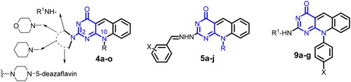 Figure 3. General structure of the targeted 5-deazaflavins as novel anticancer agents.