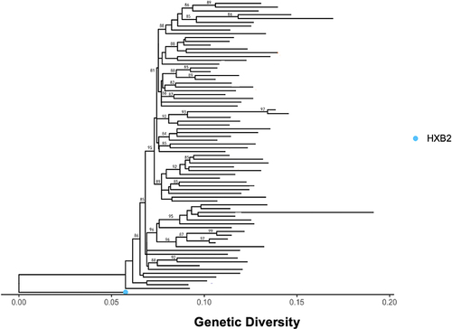 Figure 3 Maximum likelihood phylogenetic tree constructed using 1000 bootstrap values showing the uniqueness of the sequences and that there is no clustering of sequences by their VL group. The light-blue dot represents standard HIV reference strain.