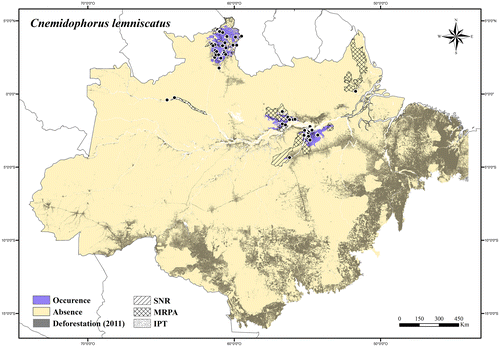 Figure 101. Occurrence area and records of Cnemidophorus lemniscatus in the Brazilian Amazonia, showing the overlap with protected and deforested areas.