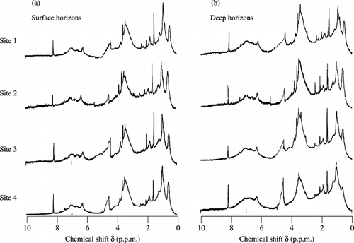 Figure 5  1H nuclear magnetic resonance (NMR) spectra of humic acids from (a) surface and (b) deep horizons.