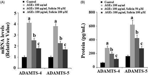 Figure 7. Salicin treatment ameliorated AGEs-induced expressions of ADAMTS-4 and ADAMTS-5 in human SW1353 cells. Human SW1353 cells were treated with 100 μg/ml AGEs in the presence or absence of 50 and 100 μM salicin for 48 h. (A). Expression of ADAMTS-4 and ADAMTS-5 at the gene levels was determined by real time PCR analysis; (B). Expression of ADAMTS-4 and ADAMTS-5 at the protein levels was determined by ELISA (a, b, c, p < .01 vs. previous column group).