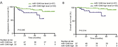 Figure 3. Positive expression of miR-1246 was associated with adverse prognosis of MM patients. Kaplan-Meier survival analysis revealed that miR-1246 expression was significantly associated with a shorter OS and PFS of MM patients.