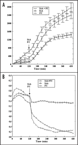 Figure 1 Effect of high temperature (40°C) on growth (A) and medium pH (B) of maize coleoptile segments incubated in the presence of IAA (10 µM) and FC (1 µM). The growth of a stack of 21 segments, expressed as elongation (µm cm−1), was measured simultaneously with medium pH at 40°C. After preincubation (over 2 h) of the coleoptile segments in control medium, IAA and FC was added (arrow). Values are means of 11 independent experiments. Bars indicate ± SE. In the case of medium pH SE did not exceed 8%.