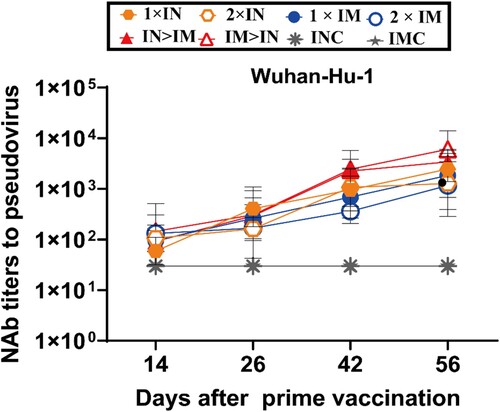 Figure 3. Serum NAb titre levels were assessed based on the Wuhan-Hu-1 strain SARS-CoV-2 pseudovirus. Serum samples were collected on days 14, 26, 42, and 56 after prime vaccination; NAb titres are expressed as 50% inhibitory dilutions (n = 5 per group, one spot represents GMT per group at each time point). Bars represent geometric means ± geometric SD; *P < 0.05; **P < 0.01; ***P < 0.001; ****P < 0.0001; ns: P > 0.05.