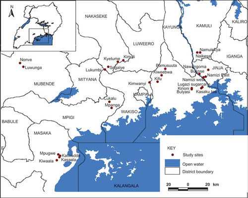 Figure 1. Location of study sites in the banana–coffee producing areas around Lake Victoria in Uganda, from which coffee farms were selected.