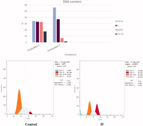 Figure 9. Effect of compound 5f (0.66 μM) on DNA-ploidy flow cytometric analysis of MCF-7 cells after 24 h.