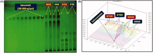 Figure 6. Quantification of sakuranetin in the extracts of two Rhus spp. by HPTLC. (A) Pictogram of developed HPTLC plate at 254 nm [mobile phase: Toluene: EA: Methanol, (8:2:0.2, v/v/v)]; (B) 3-D display of all tracks at 292 nm.