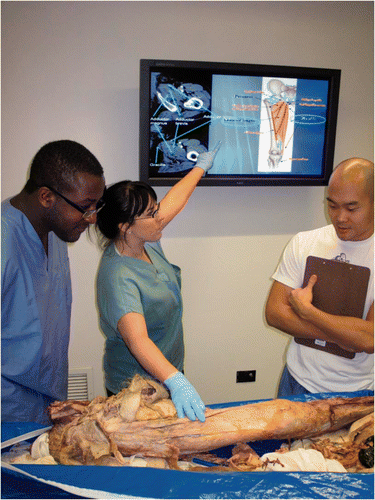Figure 2. Demonstration of direct correlation of radiologic and cadaveric structures during daily teaching assistant small group teaching sessions.