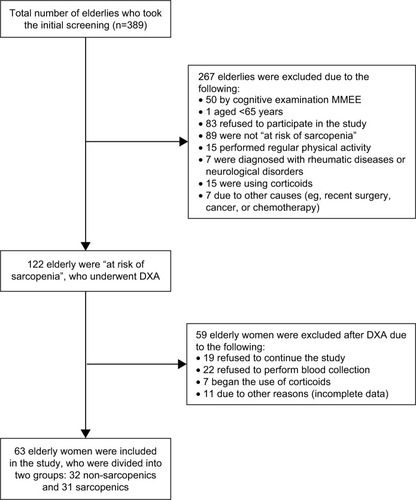 Figure 1 Flowchart of study participants.