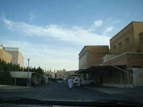 Figure 2. Employers’ homes in the Kuwaiti residential area of Abu Khalifa.