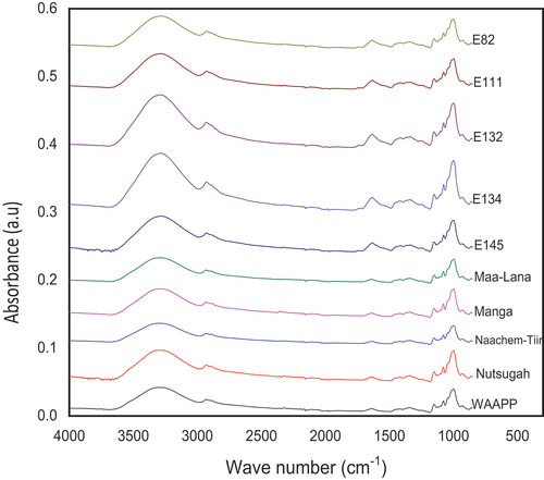 Figure 3. FTIR spectra of FPS.