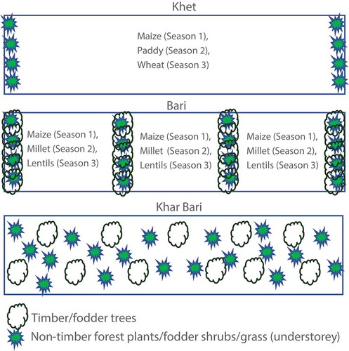 Figure 4. Typical spatio-temporal pattern of trees and annual crops in the mid-hills of Nepal