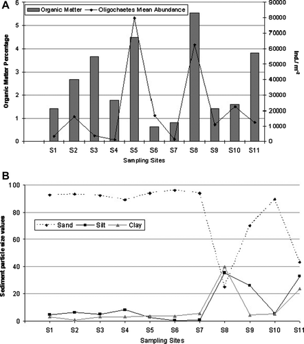 Figure 4  A, Relationship between the mean abundance of oligochaetes and the organic matter registered in the sampling sites. B, Sediment particle-size values in the sampling localities.