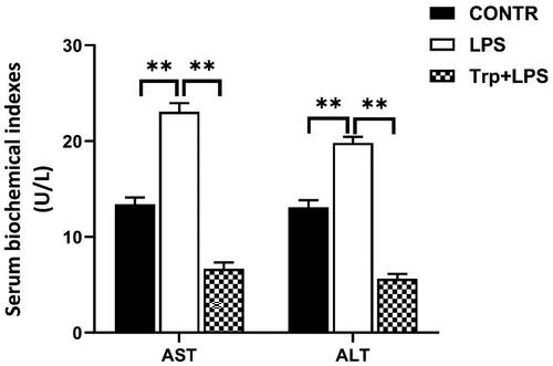 Figure 2. Tryptophan decreases serum alanine aminotransferase (ALT) and aspartate aminotransferase (AST) activities after 4h lipopolysaccharide (LPS) challenge in piglets. P values < 0.05 were considered significant. P values between 0.05 and 0.10 were regarded as a tendency. Values are presented as mean ± standard error, n = 6. CONTR: control group; LPS: piglets challenged with LPS; Trp + LPS: piglets fed with 0.2% tryptophan and challenged with LPS. * denotes P < 0.05, ** means P < 0.01.