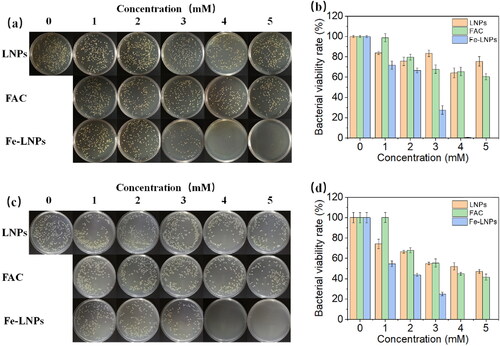 Figure 2. The colony forming pictures (a and c) and corresponding quantitative statistics results (b and d) of S. aureus (a and b) and E. coli (c and d) after treated with different formulations at different concentrations (FAC).