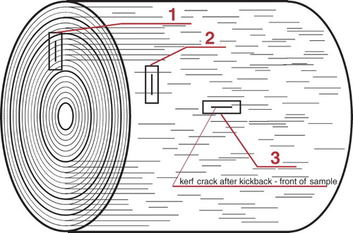 Figure 3. Method of selecting kickback samples from a wood log to determine the impact of fibre direction in relation to kerf on chainsaw kickback.