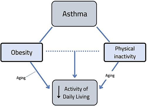 Figure 1 Hypothetical framework that demonstrates the association between asthma, obesity, physical inactivity, and the risk of activity of daily living (ADL) limitation.