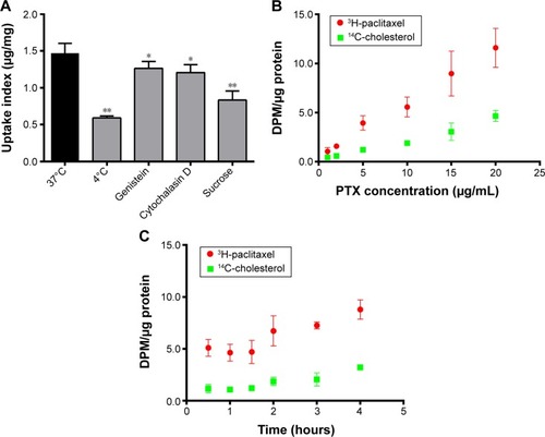 Figure 7 (A) Effects of endocytosis inhibitors (4°C, sucrose, genistein, and cytochalasin D) on cellular uptake of PTX-CH Emul. Quantitative measurement of internalized Citation3H-paclitaxel and 14C-cholesterol of PTX-CH Emul at different paclitaxel concentrations (B) and incubation times (C) using radioisotope method.Notes: *P<0.05. **P<0.01. Each value represents the mean ± SD (n=4).Abbreviations: PTX, paclitaxel; PTX-CH Emul, paclitaxel–cholesterol emulsion; DPM, disintegrations per minute; SD, standard deviation.