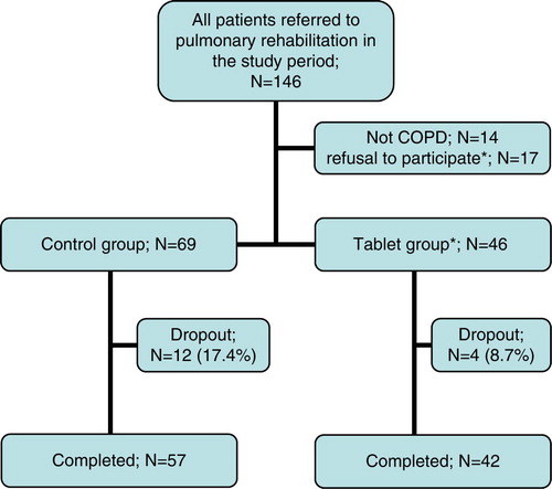 Fig. 1 Flow chart of patients included in the 7-week pulmonary rehabilitation programme. *All from the tablet group.