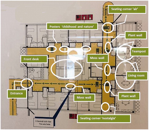 Figure 1. Floor plan of the geriatric ward with an overview of the green design interventions..