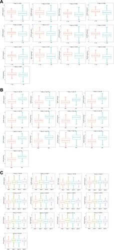 Figure 8 Analysis of the correlation between hub genes and clinical characteristics. (A–C) are box plots of the correlation between hub genes and estrogen receptor, age groups, and stages, respectively.