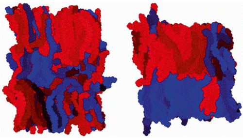 Figure 9. Snapshot from a molecular dynamics simulation of 4 at 468 K. Left: starting from a pseudonematic lattice after 11 ns of simulation time. Colours show the orientation of the oxadiazole dipole across the short molecular axis of the core, with blue and red representing orientations at 180° to each other. Right: at 468 K starting from an isotropic starting configuration (reprinted with permission from Peláez and Wilson (Citation 59 )).