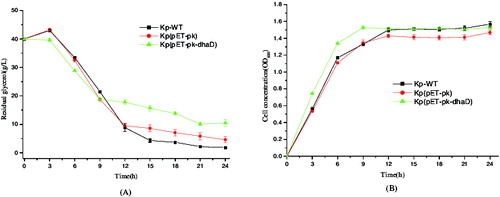 Figure 3. Glycerol consumption and cell growth of the wild-type and recombinant K. pneumoniae. (A) Residual glycerol levels in different strains detected at several time points. Kp-WT: wild-type K. pneumoniae; Kp(pET-pk): the recombinant K. pneumoniae harbouring blank vector pET-pk; Kp(pET-pk-dhaD): the recombinant K. pneumoniae harbouring dhaD gene in vector pET-pk. (B)Time curve of cell density in the same strains as described in (A) at corresponding time points. Error bars represent standard deviation from three independent experiments.