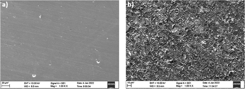 Figure 12. SEM micrographs of (a) AISI 5140 steel without any treatment (b) AISI 5140 steel after immersion in 3.5 wt% NaCl solution.