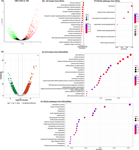 Figure 2 Differences in the lncRNA and mRNA expression profiles between GBC-nGS and NS tissues. (A) Volcano plot of the differential expression analysis of DEGs (fold change ≥ 2.0 and p < 0.05). The top 15 items of DEGs of GBC-nGS were identified by (B) GO function enrichment and (C) KEGG enrichment. (D) Volcano plot of the differential expression analysis of DElncRNAs (fold change ≥ 2.0 and p < 0.05). The top 15 items of DElncRNAs of GBC-nGS were identified by (E) GO function enrichment and (F) KEGG enrichment.