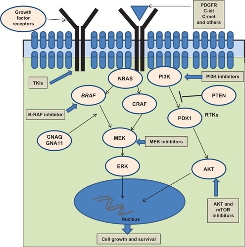 Figure 1 Cell-signaling pathways in melanoma.