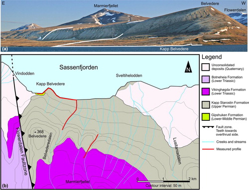 Fig. 2  (a) Picture taken from Sassenfjorden looking south towards the outcrops. White lines indicate the location of the measured profiles. (b) Geological map showing the profile lines. Modified from Major et al. (Citation1992).