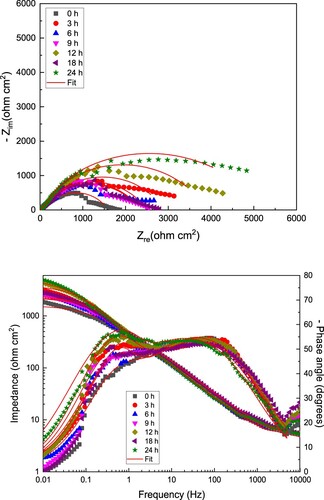 Figure 7. (a) Nyquist and (b) Bode diagrams for LDX 2101 duplex stainless steel in uninhibited CO2–saturated 3.5% NaCl solution.