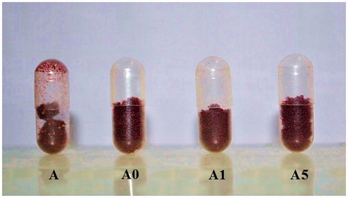 Figure 10. Electrostatic charges of freeze-dried mulberry-extracted anthocyanin (A) and mulberry-extracted anthocyanin-encapsulated alginate/chitosan beads (A0, A1, and A5) when filling into capsule.
