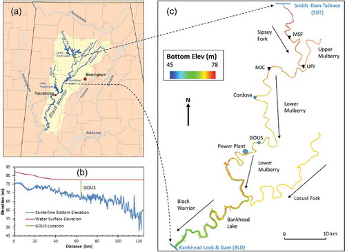 Figure 1. (a). Geographic location of the study area and the location of Birmingham weather station used for the study, (b) Longitudinal bottom elevation along the centerline of BRRS and water surface elevation after a large release from the Smith Dam tailrace to Bankhead Lock & Dam, (c) Color contours of the bottom elevation showing Sipsey Fork, the lower Mulberry Fork, and Black Warrior River as the model simulation domain; two monitoring stations (Cordova and GOUS), model upstream and downstream boundary locations: Smith Dam tailrace (SDT) and Bankhead L&D (BLD), three locations for reporting simulation results (MSF, UPJ and MJC, Table 2).