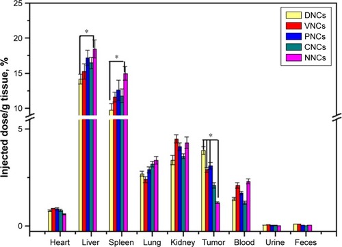 Figure 10 Biodistribution of Au determined by ICP-AES.Notes: CNCs, free antibodies pre-treated before DNCs application; DNCs, dual-targeted gold nanoshelled poly(lactic-co-glycolic acid) nanocapsules carrying anti-vascular endothelial growth factor receptor type 2 antibody and anti-p53 antibody; NNCs, non-targeted gold nanoshelled poly(lactic-co-glycolic acid) nanocapsules; PNCs, single-targeted gold nanoshelled poly(lactic-co-glycolic acid) nanocapsules carrying anti-p53 antibody; VNCs, single-targeted gold nanoshelled poly(lactic-co-glycolic acid) nanocapsules carrying anti-vascular endothelial growth factor receptor type 2 antibody. *Significantly different from VNCs and NNCs.Abbreviations: PLGA, poly(lactic-co-glycolic acid); ICP-AES, inductively coupled plasma atomic emission spectroscopy.