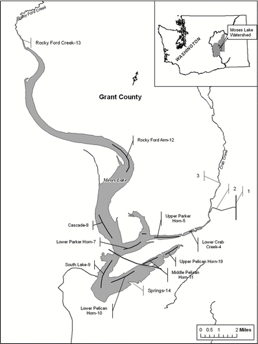 Figure 1 Moses Lake showing inflow of Columbia River dilution water from the East Low Canal (1) entering via Rocky Coulee Wasteway (2) into Crab Creek (3) and then into Parker Horn (5). Upper Parker Horn (5) water was pumped at times into Upper Pelican Horn (19). Water sampling sites are shown by number and solid lines for transects.