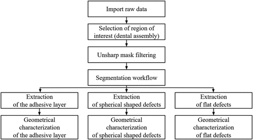 Figure 1. 3D digital image treatment protocol.